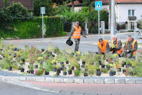 Kavicskert a körforgalmak közepén több száz tő évelő növénnyel